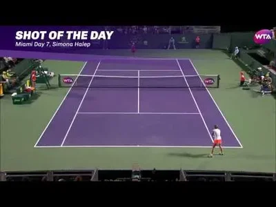 Superb backhand down the line by Halep against Stosur in Miami