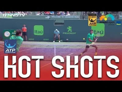 Wrong target for Federer in passing shot against del Potro at Miami
