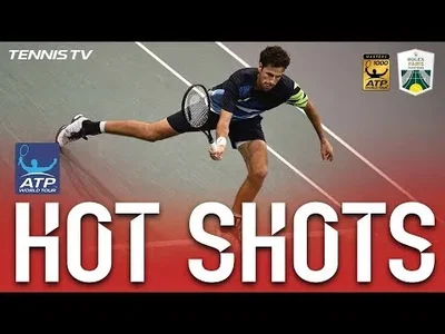 Haase's back spin volley against Del Potro in Paris