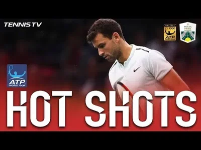 Great touch from Dimitrov on this volley against Isner in Paris