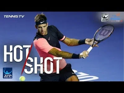Magic drop-shot from Del Potro against A. Zverev in Acapulco