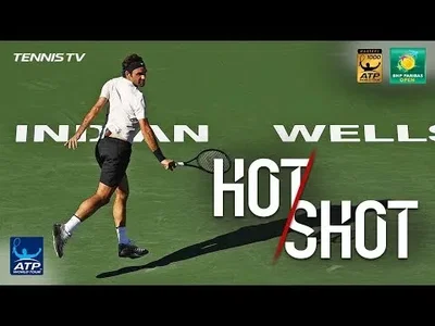 Perfect shot from Federer against Krajinovic at Indian Wells