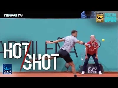 Dimitrov hits superb backhand passing shot against Raonic