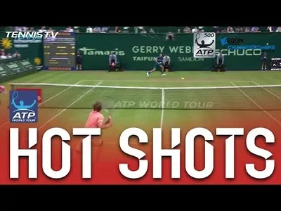 Coric's delicate backhand pass against Zverev in Halle