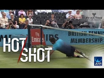 Dzumhur slides under the net against Dimitrov at Queens