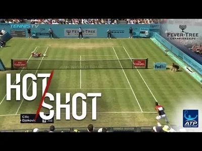 Djokovic's dive isn't enough against Cilic in Queens Final