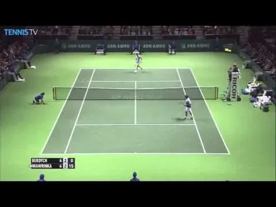 Wawrinka's Hot Shot against Berdych in Rotterdam Final