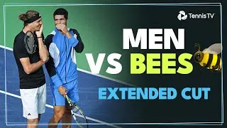 Les hommes contre les abeilles à Indian Wells ! Vidéo prolongée de l'interruption inattendue d'Alcaraz vs Zverev ! 🐝