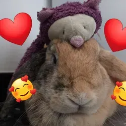Titoudadju