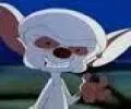 Cortex