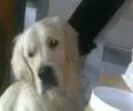 Nezney