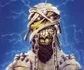 ironmaiden49