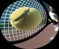 FlaV