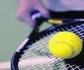 Vamos rafa :.