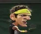 Fadel_Potro