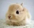 SebastienL