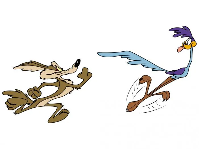 VilCoyote banner