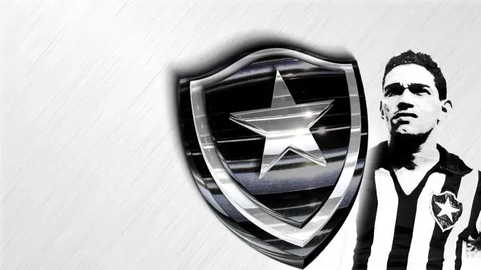 DelPotro17 banner