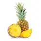 tropicaltennis