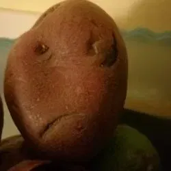Pixxi