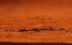 Monfils26 banner
