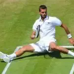 Vizik