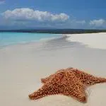 macorisano