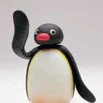 Pingu
