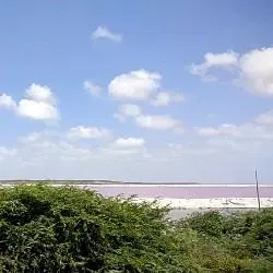 Debapriya