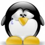 Pauv_Pingouin