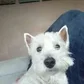 Fred Half