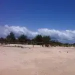 zaoui