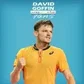 DavidGoffinFans