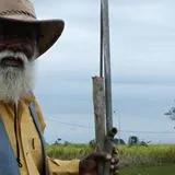 Manolea Maistrul