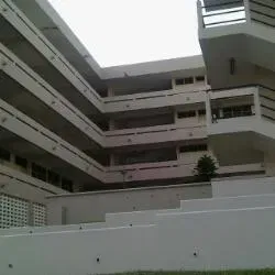 effax1987