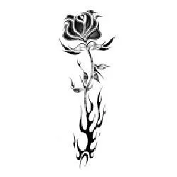 trybloom