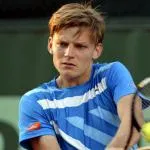 Goffin