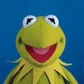 Warpedfrog