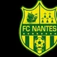 nantes