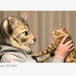 Thingsviral
