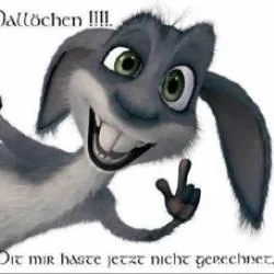 PJHimmi