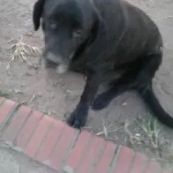 Gabriel Gabo Zapata