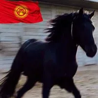 Али Манапбаев
