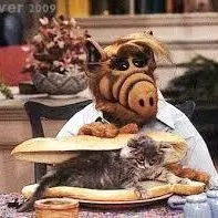 Ниџо Хрњаковић