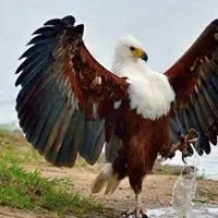 Pedro Barrero Amador