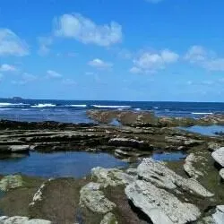 Jon Ander Cañas Urkia