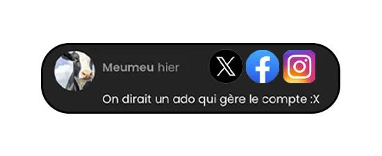 Felix CM TT banner