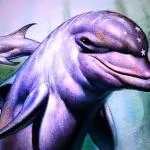 EccoLeDauphin