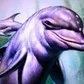 EccoLeDauphin