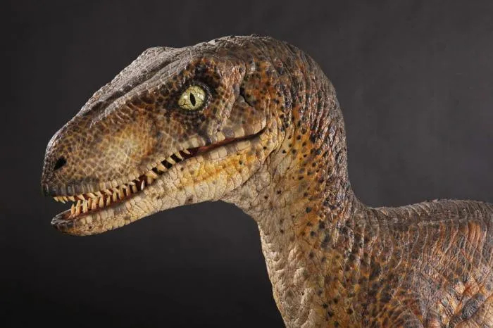 LeRaptor banner